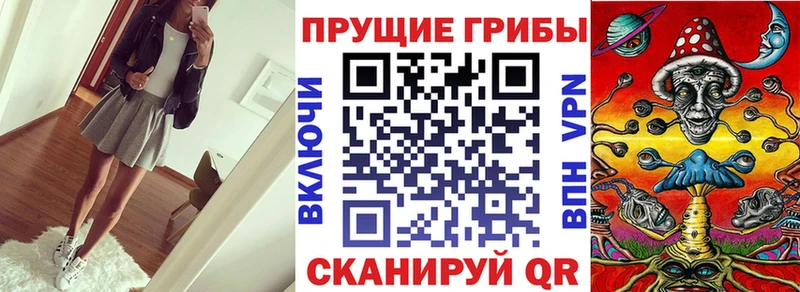наркота  Высоковск  Галлюциногенные грибы Magic Shrooms 